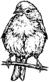 Unmounted Finch Rubber Stamp, Bird Watchers Series umE2805