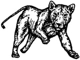 Unmounted Lioness Rubber Stamp, Female Lion Running umH3211