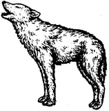 Unmounted Gray Wolf Rubber Stamp, Howling at the Moon umJ3214