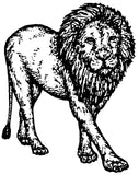 Unmounted Lion Rubber Stamp, Male with Mane umJ3215