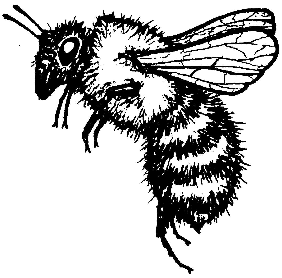 Unmounted Honey Bee Rubber Stamp, Large Size umJ3302 RubberHedgehog