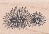 Sea Urchin Rubber Stamp, Spiny Hedgehog Shaped Marine Life