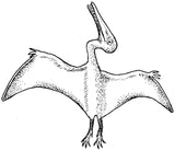 Unmounted Pterosaur Rubber Stamp, Pterodactyl, Dinosaur, Flying Lizard of the Triassic and Cretaceous umJ5017