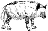 Unmounted Striped Hyena Rubber Stamp, Africa, Middle East, Central Asia, Indian Wildlife umJ5019