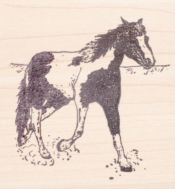 Pinto Horse Rubber Stamp, Spotted Coat, Trotting