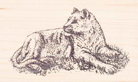 Lioness Rubber Stamp, Female Lion Resting