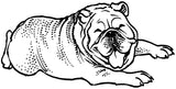 Unmounted Bulldog Rubber Stamp, Resting Dog umH8016