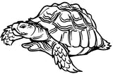 Unmounted Tortoise Rubber Stamp umH8202