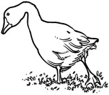 Unmounted Goose Rubber Stamp umG8203