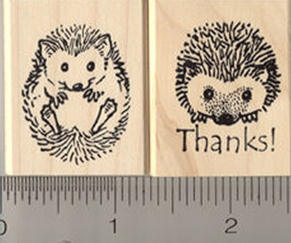 2 Piece Hedgehog Rubber Stamp Set, includes Thank You and Rolled up Hedgehog