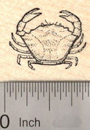 Small Crab Rubber Stamp