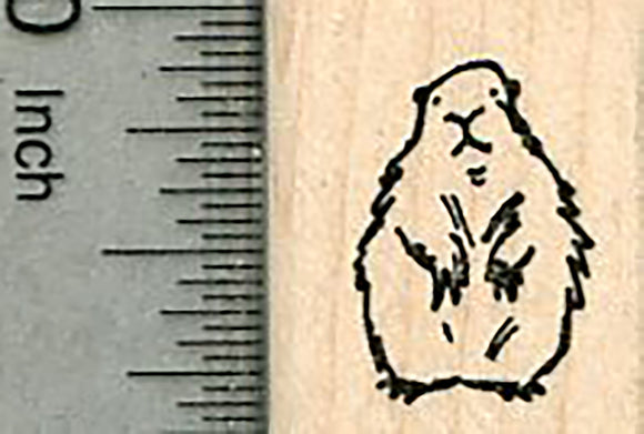Tiny Groundhog Rubber Stamp