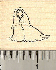 Small Maltese Dog Rubber Stamp