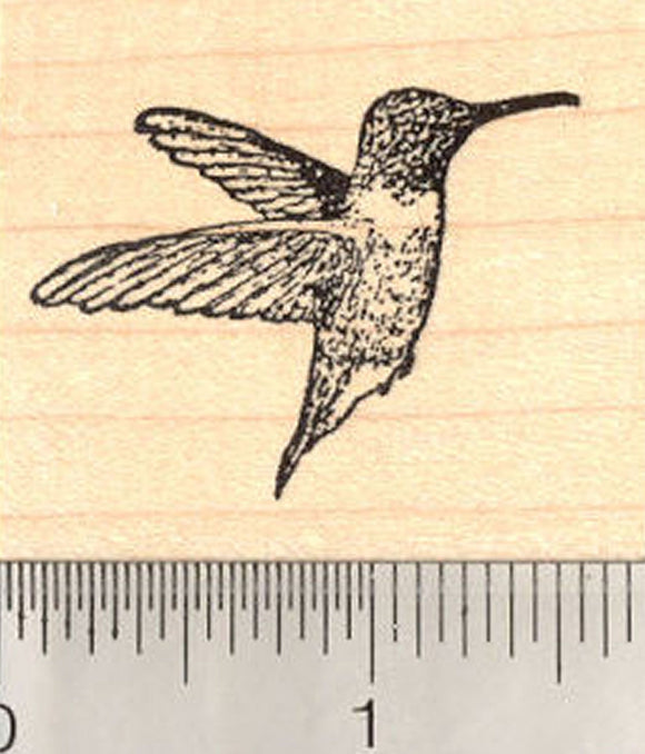 Small Hummingbird Rubber Stamp, in Flight, Wings Back