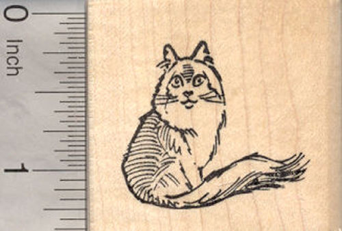 Norwegian Forest Cat Rubber Stamp, Cold Climate Cat from Norway, Siberian, Turkish