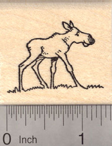 Small Moose Calf Rubber Stamp