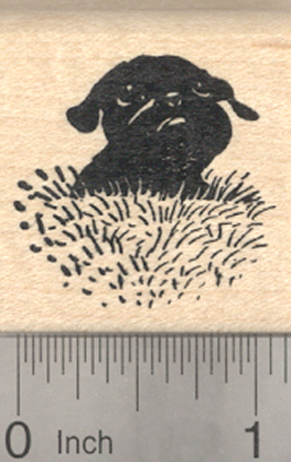Black Pug Rubber Stamp, Dog in Grass
