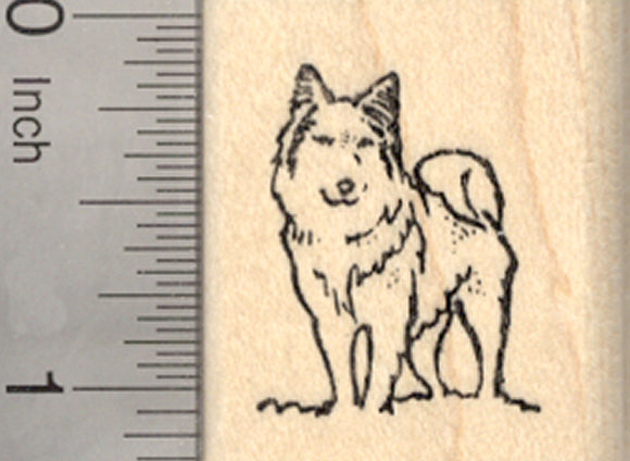 Icelandic Sheepdog Rubber Stamp, Husky, Spitz, Malamute