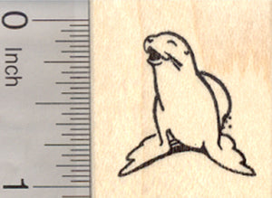 Sea Lion Rubber Stamp, Arctic Marine Wildlife, Small