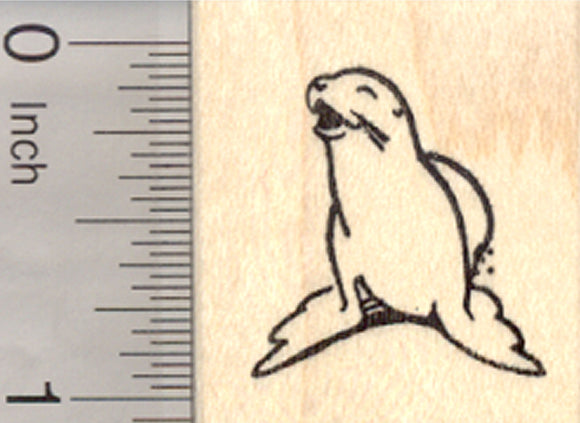 Sea Lion Rubber Stamp, Arctic Marine Wildlife, Small
