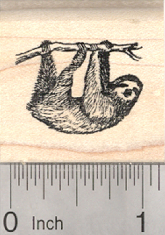Sloth Rubber Stamp, Arborial Three Toed Species of South and Central America, Small