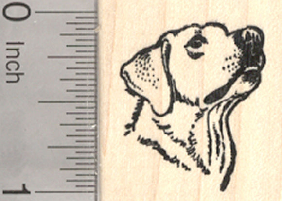 Labrador Retriever Rubber Stamp, Portrait, Small