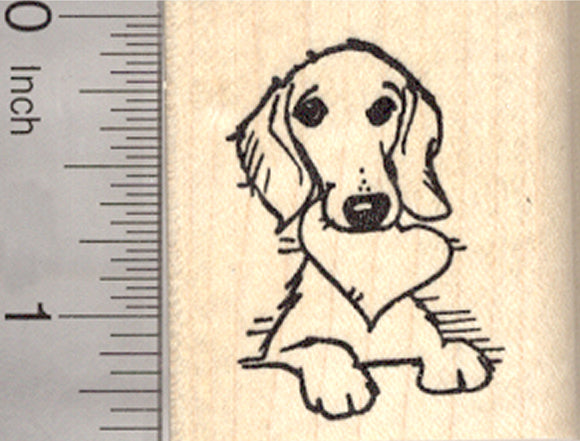 Valentine's Day Dachshund Rubber Stamp, Dog with Heart in Mouth, Portrait