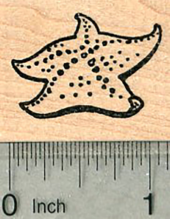Starfish Rubber Stamp, Sea Stars, Marine Wildlife