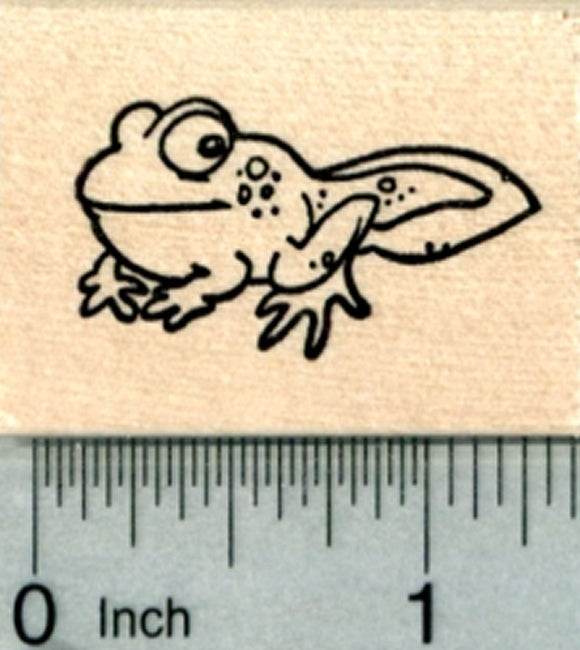 Tadpole Rubber Stamp, Frog with Tail