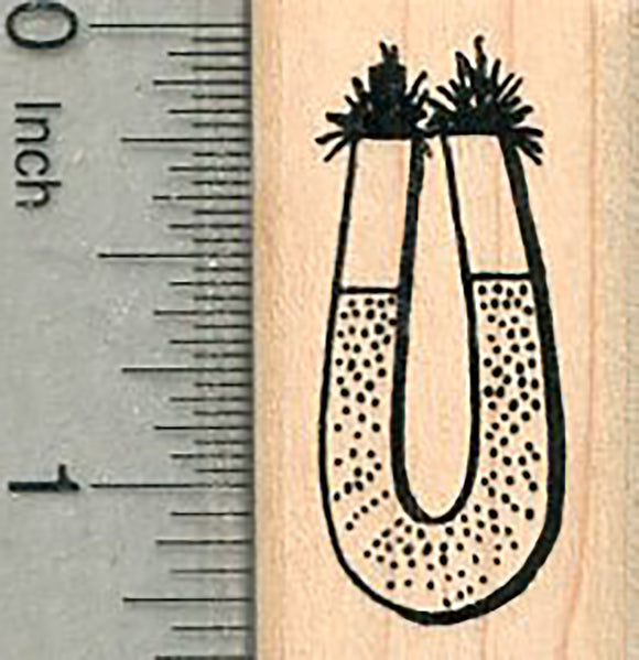 Magnet Rubber Stamp, Science Series