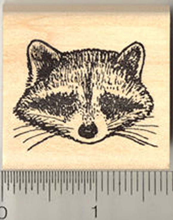 Raccoon Face Rubber Stamp, North American Racoon,