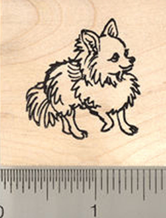Long Haired Chihuahua Rubber Stamp
