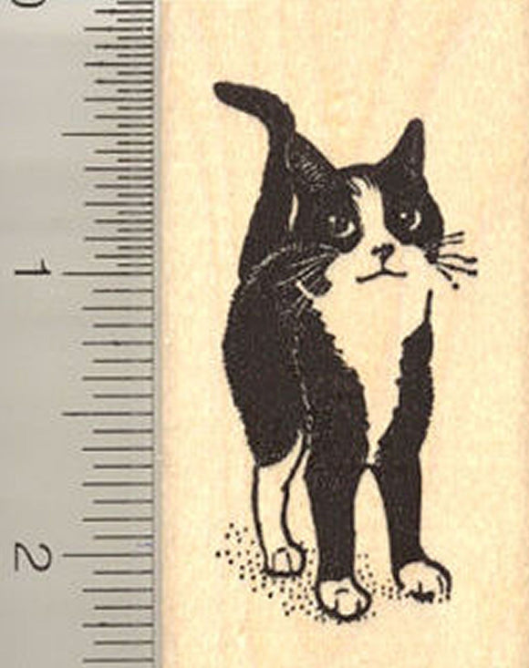 Adorable Black and White Cat Rubber Stamp