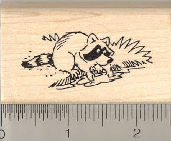 Raccoon Washing Food Rubber Stamp