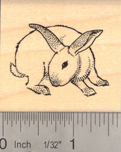 House Rabbit Rubber Stamp (Binkying Bunny)