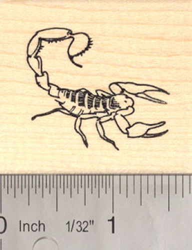 Scorpion Rubber Stamp