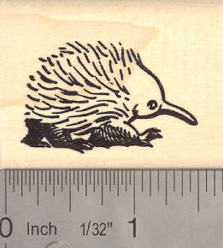Short-beaked Echidna Rubber Stamp Spiny Anteater