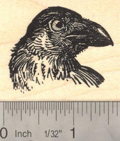 Raven Bird Portrait Rubber Stamp