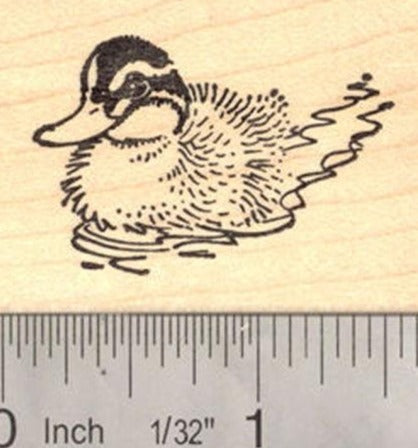 Duckling in Water Rubber Stamp, Duck Pond