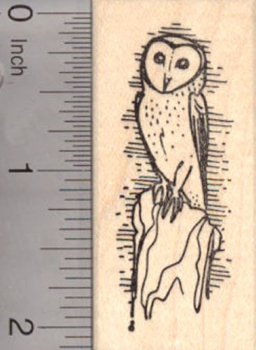 Barn Owl Rubber Stamp, AKA White owl, Silver Owl or Night Owl