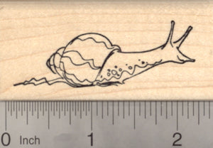 Snail Rubber Stamp, Garden Bugs, gastropod molluscs