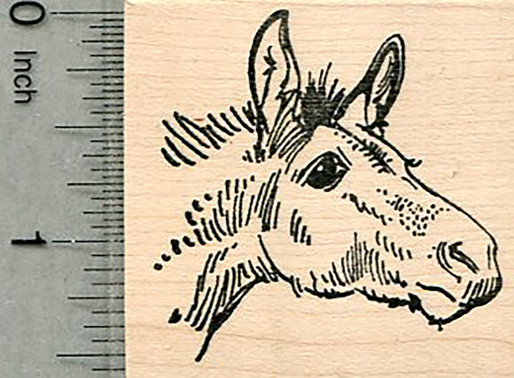 Moose Calf Portrait Rubber Stamp