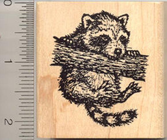 Dangling Raccoon Rubber Stamp, Climbing Tree