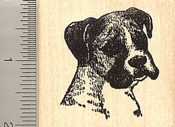Boxer Dog Rubber Stamp, Portrait with Uncropped Ears
