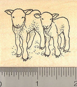 Sheep Pair Rubber Stamp, Little Lambs for Easter or Spring