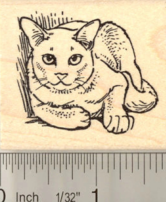 Burmese Cat Rubber Stamp