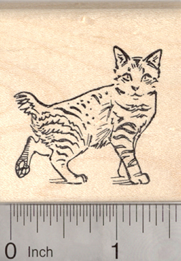 American Bobtail Cat Rubber Stamp
