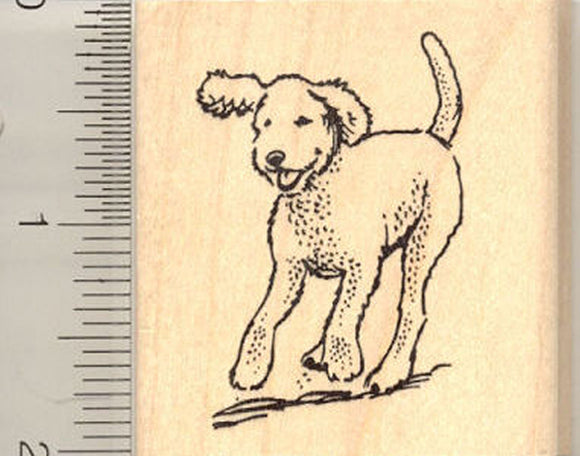 Running Labradoodle Dog Rubber Stamp
