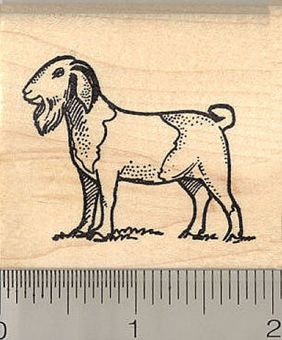 Boer Goat Rubber Stamp