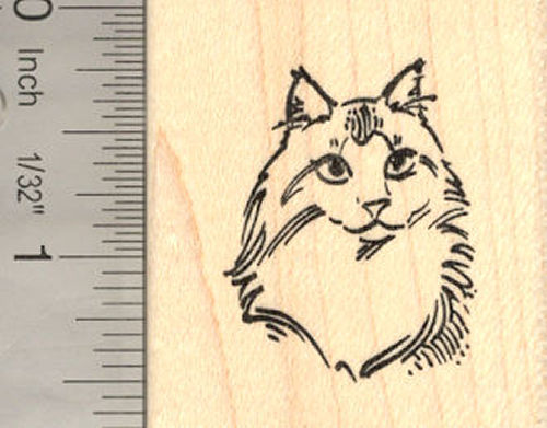 Maine Coon Cat Portrait Rubber Stamp